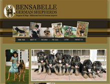 Tablet Screenshot of bensabelle.com